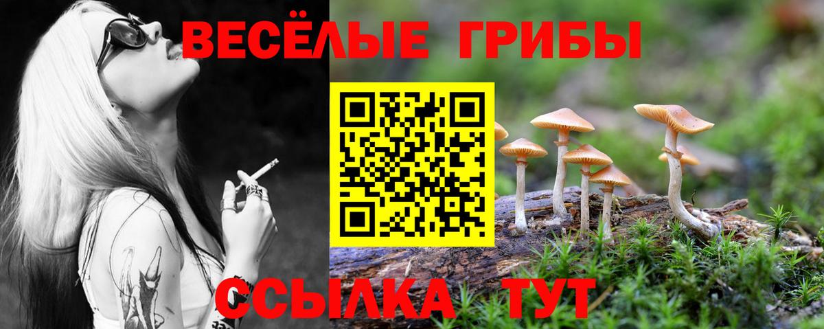 Галлюциногенные грибы GOLDEN TEACHER Мирный